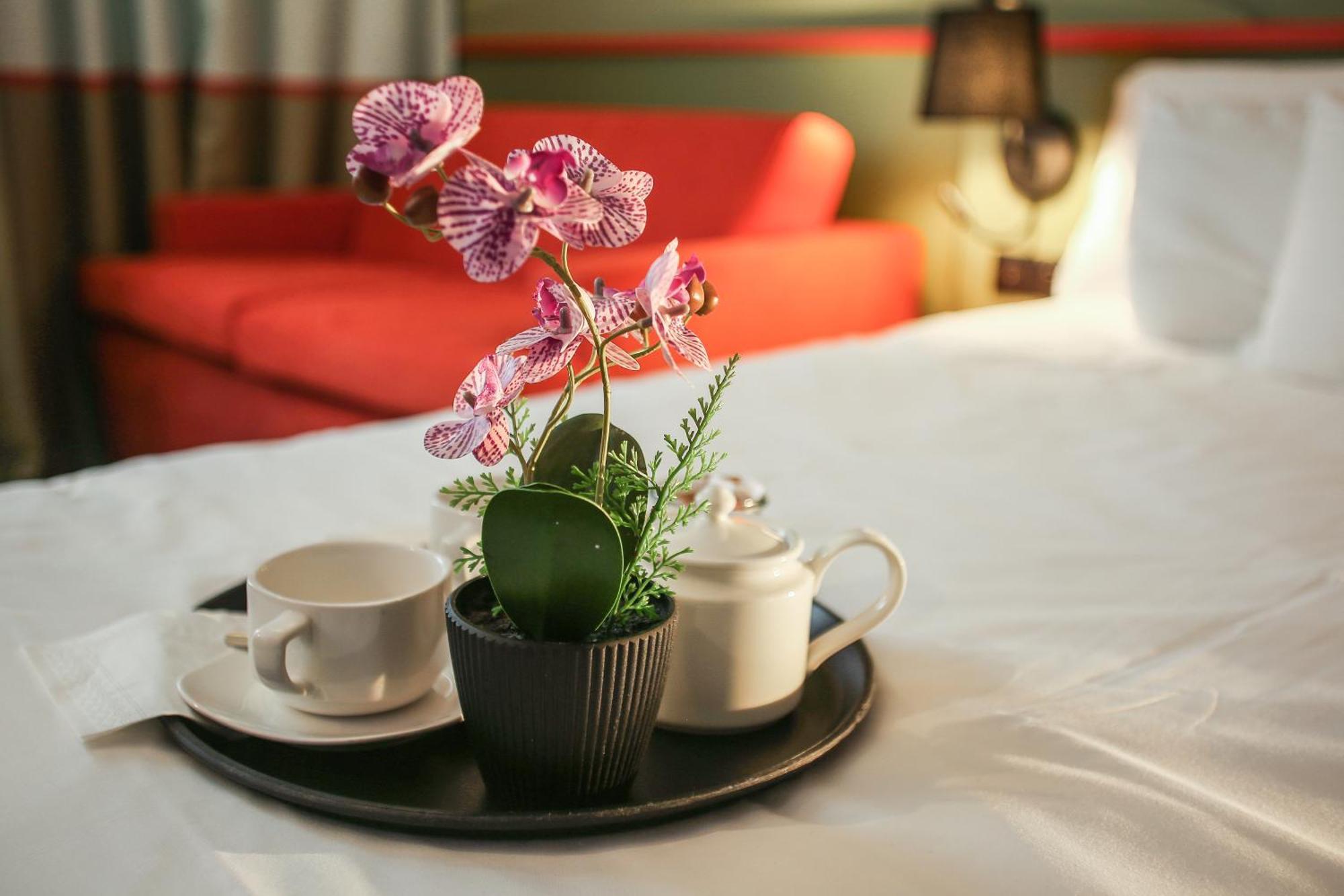 伊比斯风格诺曼底3*Lisieux